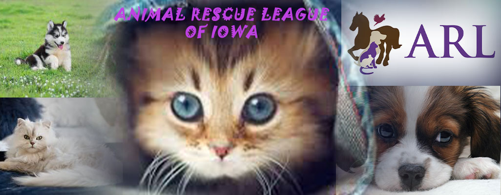 Animal Rescue League banner